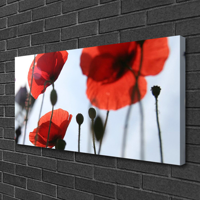 Canvas Kunstdruck Mohnblumen Pflanzen