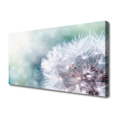 Canvas Kunstdruck Pusteblume Pflanzen