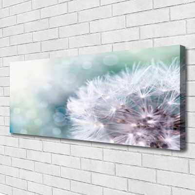 Canvas Kunstdruck Pusteblume Pflanzen