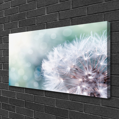 Canvas Kunstdruck Pusteblume Pflanzen