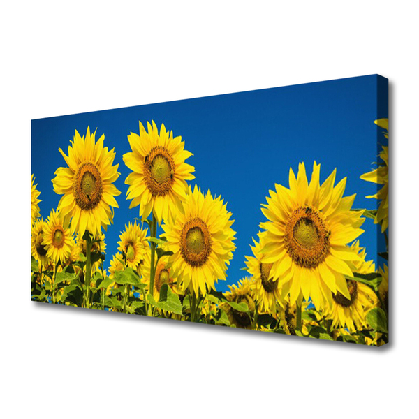 Canvas Kunstdruck Sonnenblumen Pflanzen