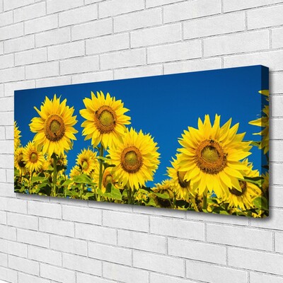 Canvas Kunstdruck Sonnenblumen Pflanzen