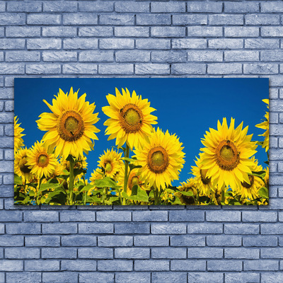 Canvas Kunstdruck Sonnenblumen Pflanzen