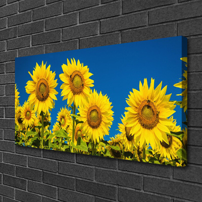 Canvas Kunstdruck Sonnenblumen Pflanzen