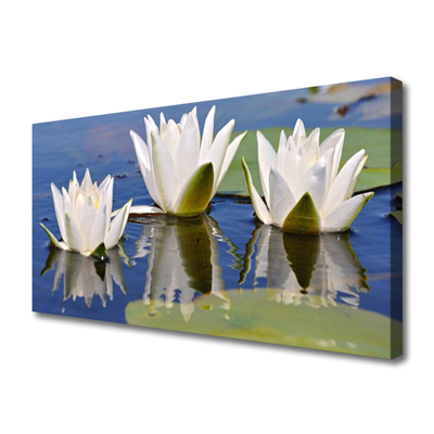 Canvas Kunstdruck Blumen Pflanzen