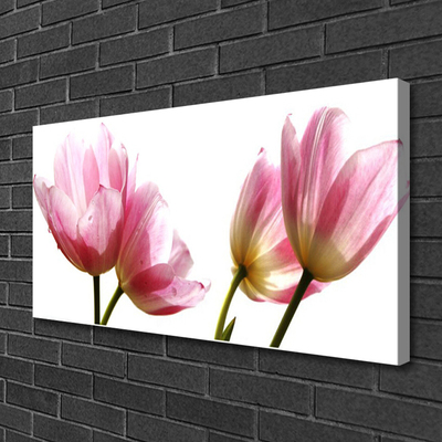 Canvas Kunstdruck Blumen Pflanzen