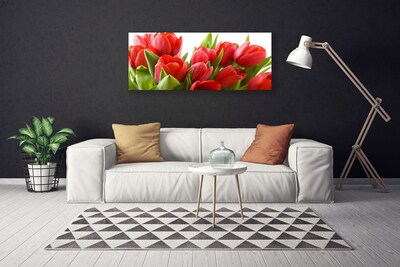 Canvas Kunstdruck Tulpen Pflanzen