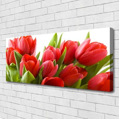 Canvas Kunstdruck Tulpen Pflanzen