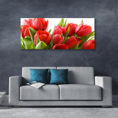 Canvas Kunstdruck Tulpen Pflanzen