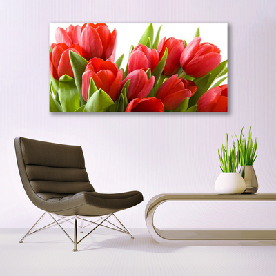 Canvas Kunstdruck Tulpen Pflanzen