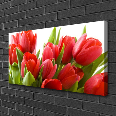 Canvas Kunstdruck Tulpen Pflanzen