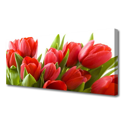 Canvas Kunstdruck Tulpen Pflanzen