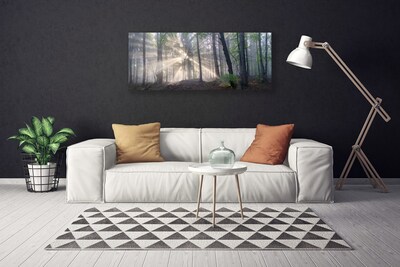 Canvas Kunstdruck Wald Natur