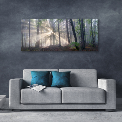 Canvas Kunstdruck Wald Natur