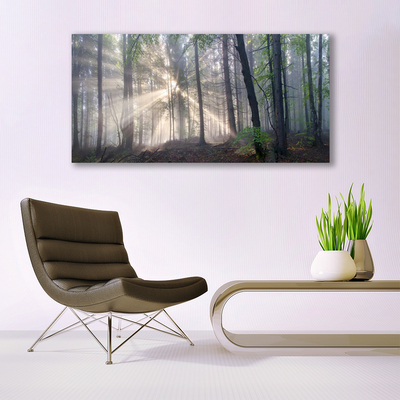 Canvas Kunstdruck Wald Natur