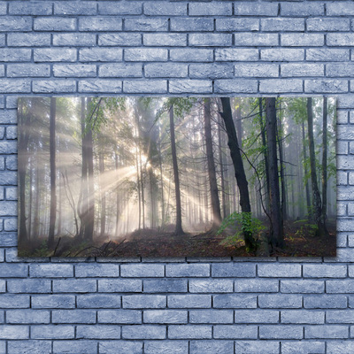 Canvas Kunstdruck Wald Natur