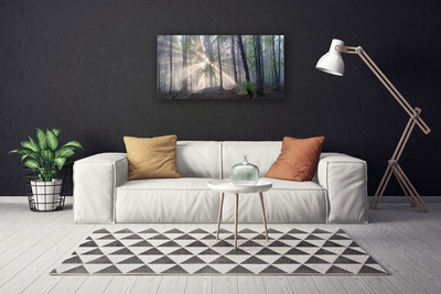 Canvas Kunstdruck Wald Natur