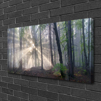 Canvas Kunstdruck Wald Natur