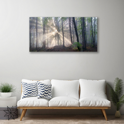 Canvas Kunstdruck Wald Natur