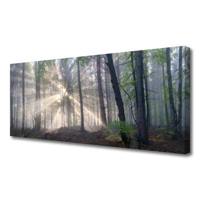 Canvas Kunstdruck Wald Natur