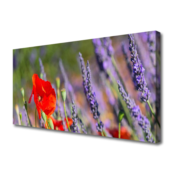 Canvas Kunstdruck Blumen Pflanzen