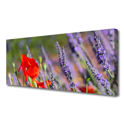 Canvas Kunstdruck Blumen Pflanzen