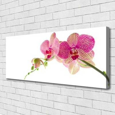 Canvas Kunstdruck Blumen Pflanzen