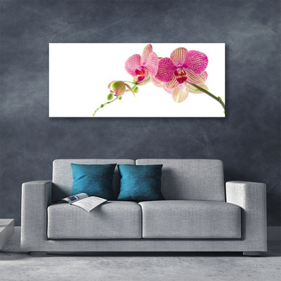 Canvas Kunstdruck Blumen Pflanzen