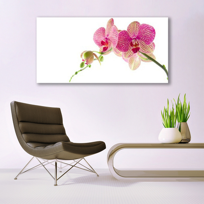 Canvas Kunstdruck Blumen Pflanzen