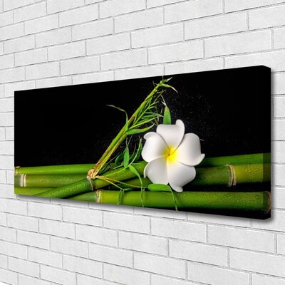 Canvas Kunstdruck Bambus Blume Pflanzen