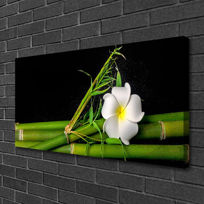 Canvas Kunstdruck Bambus Blume Pflanzen