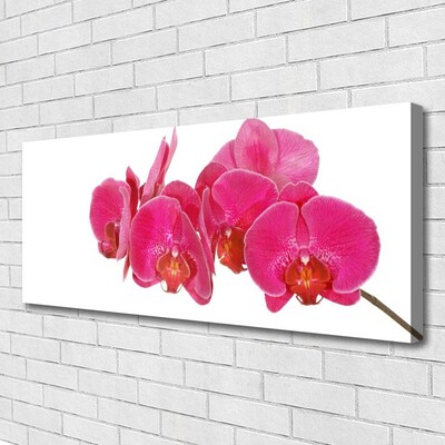 Canvas Kunstdruck Blumen Pflanzen