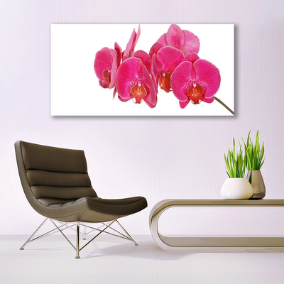 Canvas Kunstdruck Blumen Pflanzen