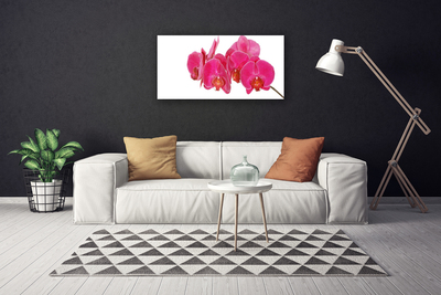 Canvas Kunstdruck Blumen Pflanzen