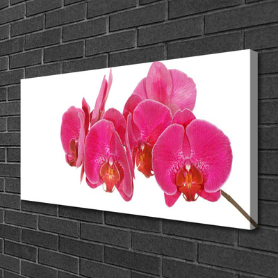 Canvas Kunstdruck Blumen Pflanzen