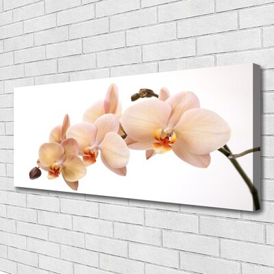 Canvas Kunstdruck Blumen Pflanzen