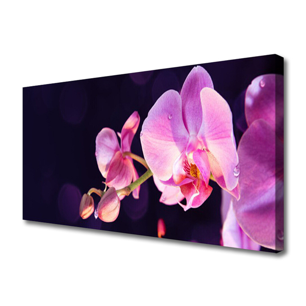 Canvas Kunstdruck Blumen Pflanzen