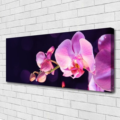 Canvas Kunstdruck Blumen Pflanzen