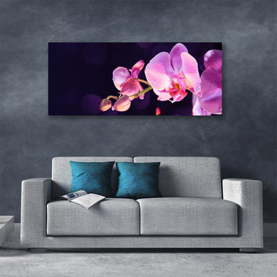 Canvas Kunstdruck Blumen Pflanzen