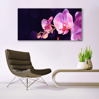 Canvas Kunstdruck Blumen Pflanzen