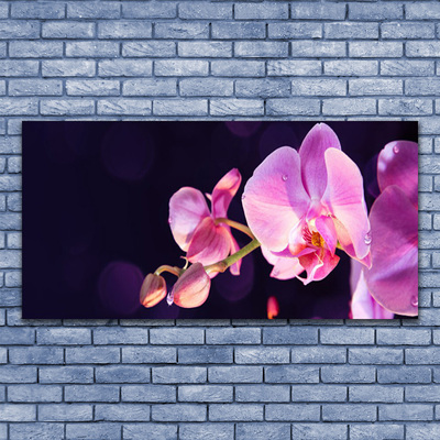 Canvas Kunstdruck Blumen Pflanzen