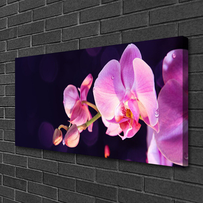 Canvas Kunstdruck Blumen Pflanzen