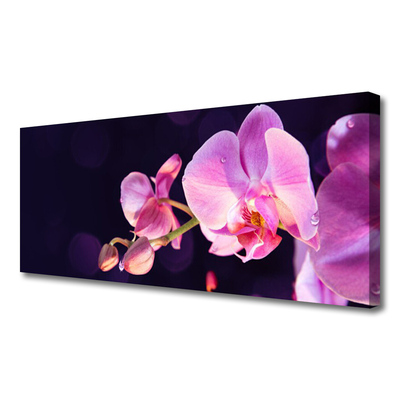 Canvas Kunstdruck Blumen Pflanzen