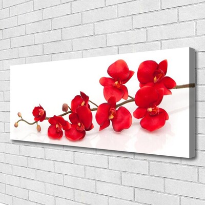 Canvas Kunstdruck Blumen Pflanzen