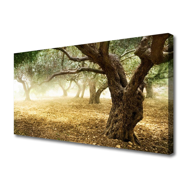 Canvas Kunstdruck Bäume Gras Natur