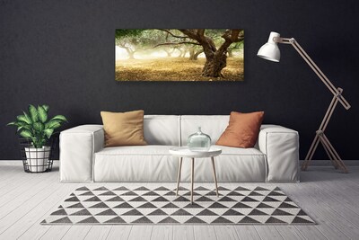 Canvas Kunstdruck Bäume Gras Natur