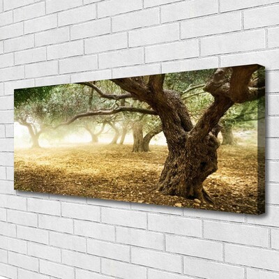 Canvas Kunstdruck Bäume Gras Natur