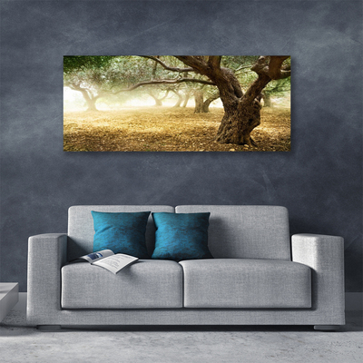 Canvas Kunstdruck Bäume Gras Natur