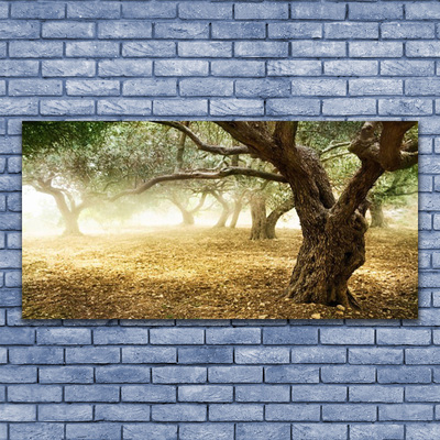 Canvas Kunstdruck Bäume Gras Natur