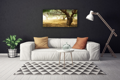 Canvas Kunstdruck Bäume Gras Natur